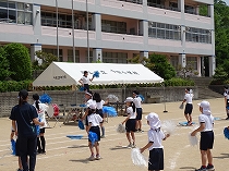 siro2
