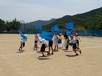 siro3