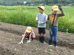 kuromame2