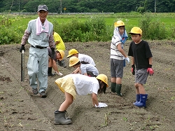 kuromame4