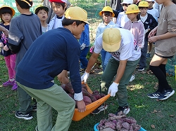 hakobi1