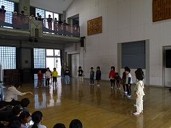 konsaato