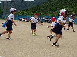 12sippo