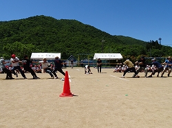 oyakotuna