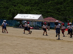 sippo12