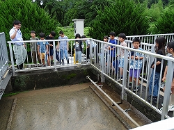 gesui3