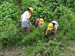 seibi1