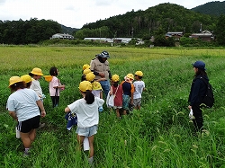 sikanohigai