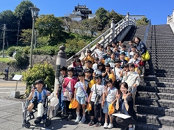 siro